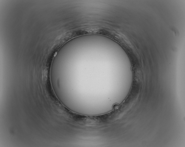 X0000114060697200910191501