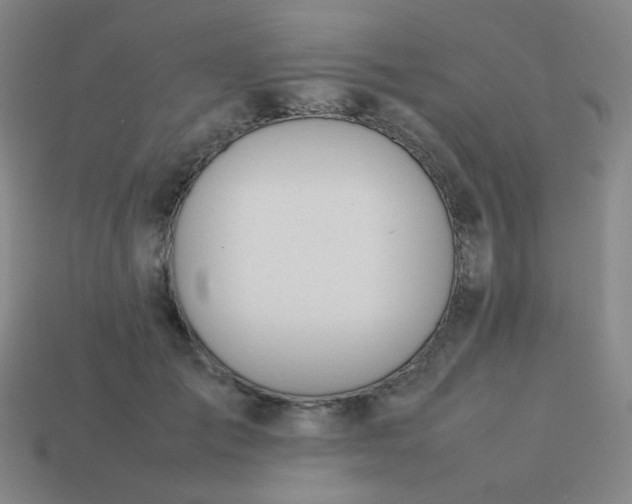 X0000114060701200910191501