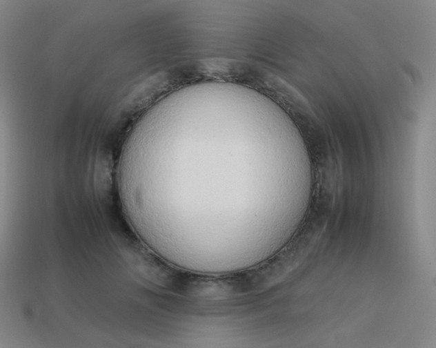 X0000114060702200910191501