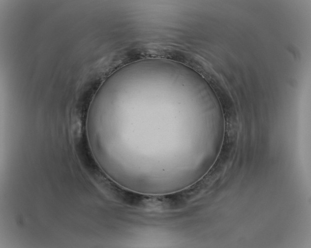 X0000114060703200910191501