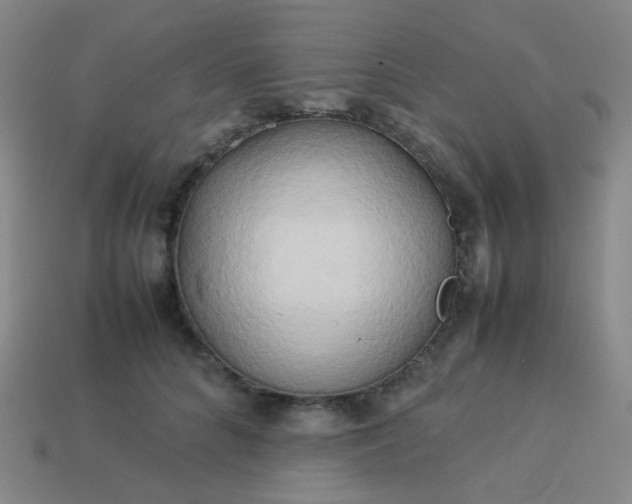 X0000114060704200910191501