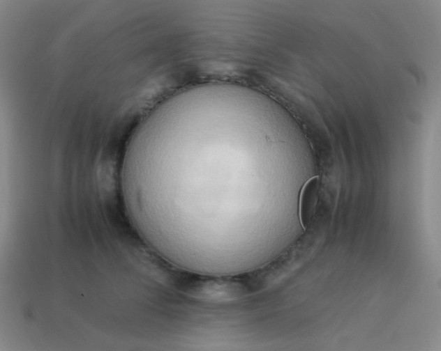 X0000114060708200910191501