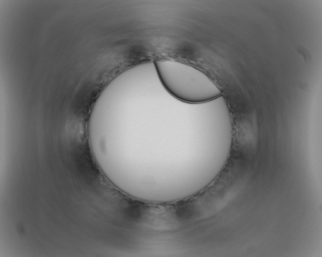 X0000114060709200910191501