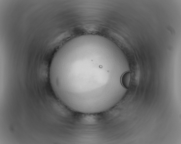 X0000114060710200910191501