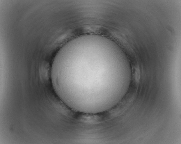 X0000114060712200910191501