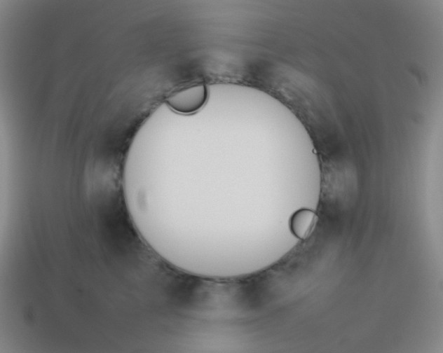 X0000114060713200910191501