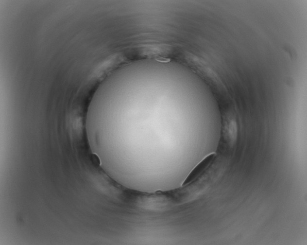 X0000114060716200910191501