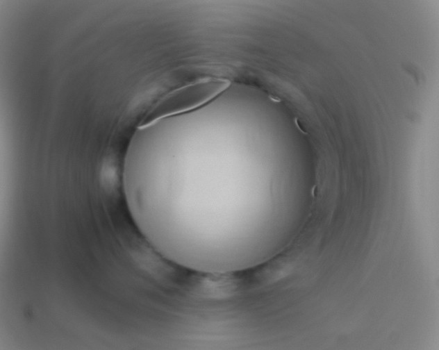 X0000114060720200910191501