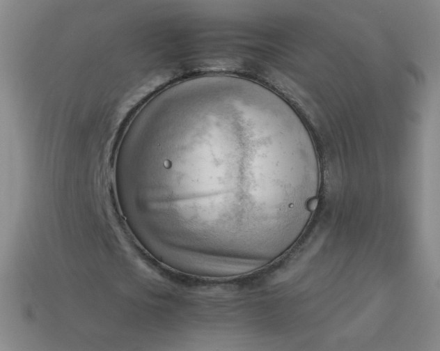 X0000114060721200910191500