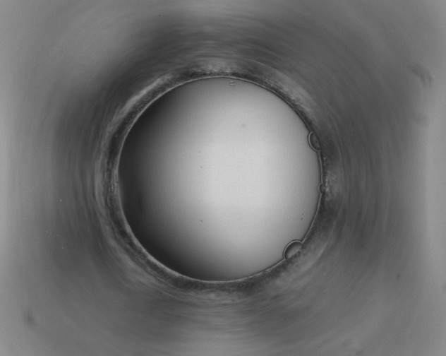 X0000114060722200910191500