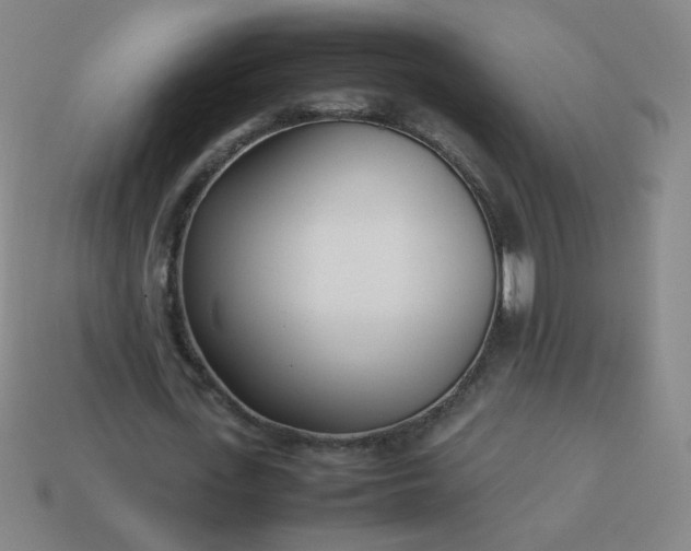 X0000114060723200910191500