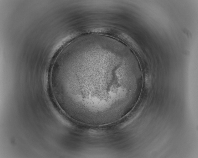 X0000114060725200910191500