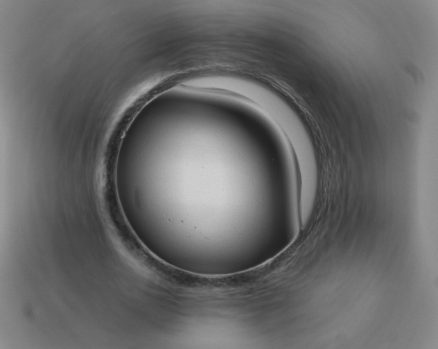 X0000114060726200910191500