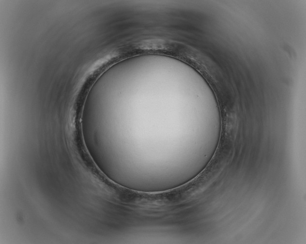 X0000114060727200910191500