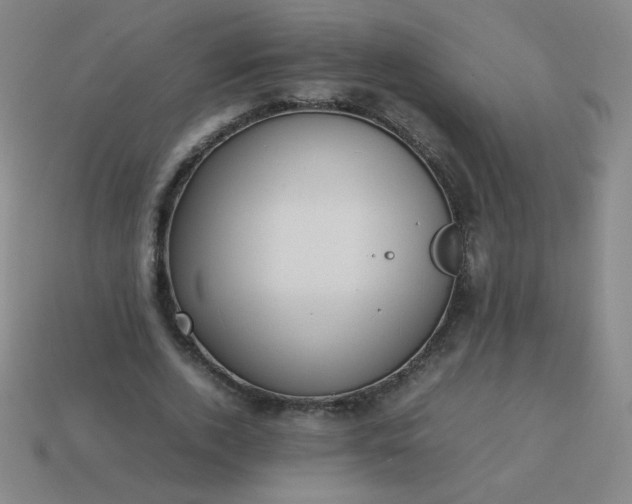 X0000114060728200910191500