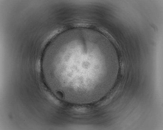 X0000114060729200910191500