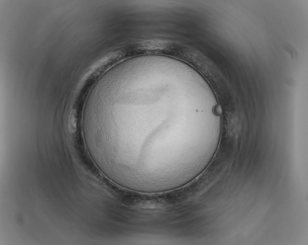 X0000114060731200910191500