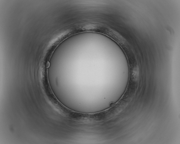 X0000114060732200910191500