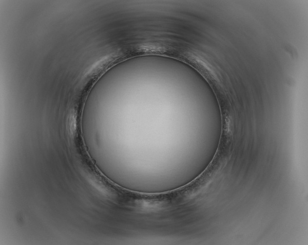 X0000114060733200910191500