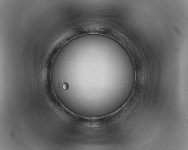 X0000114060735200910191500