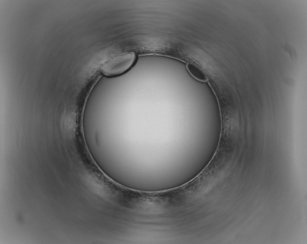 X0000114060736200910191500