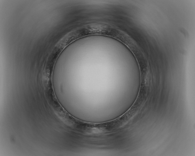 X0000114060737200910191500