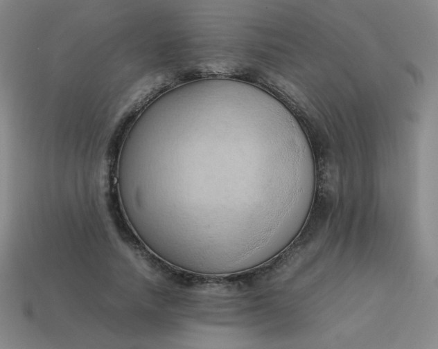 X0000114060738200910191500