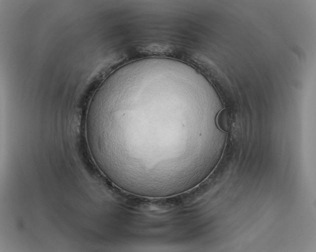 X0000114060739200910191500