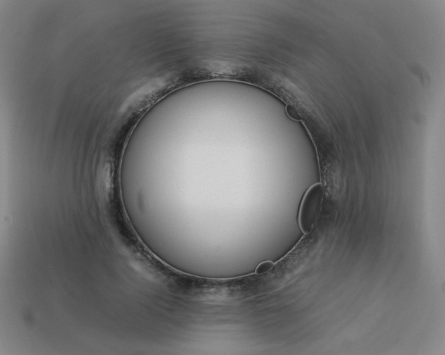 X0000114060740200910191500