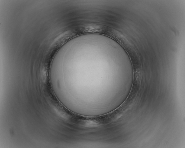 X0000114060741200910191500