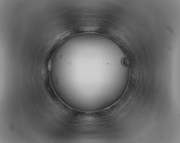 X0000114060743200910191500