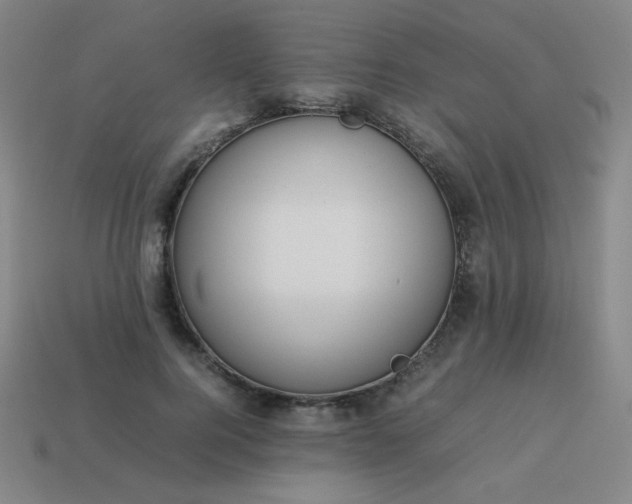 X0000114060744200910191500