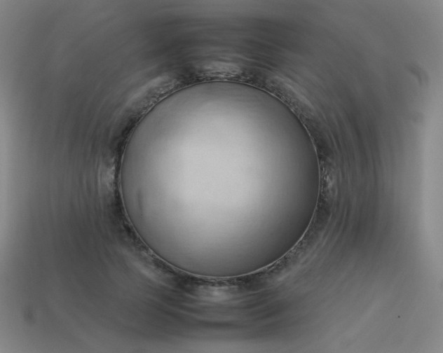 X0000114060745200910191500