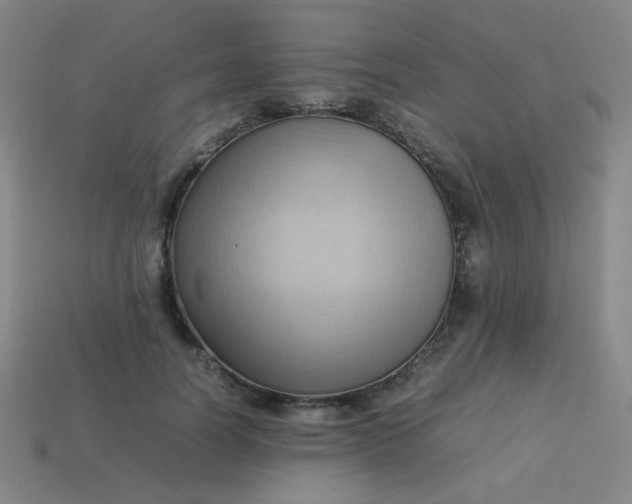 X0000114060746200910191500