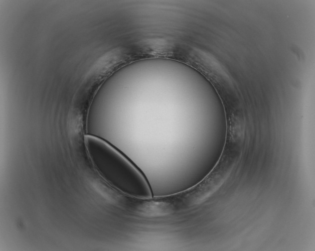 X0000114060748200910191500