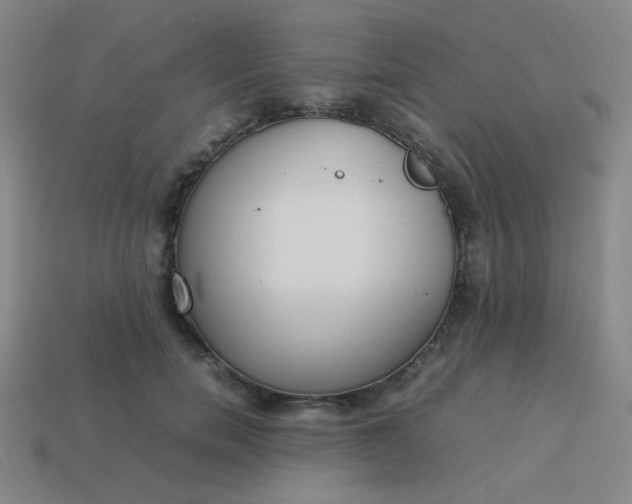 X0000114060750200910191501