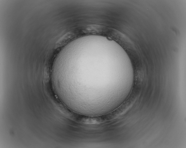 X0000114060751200910191501