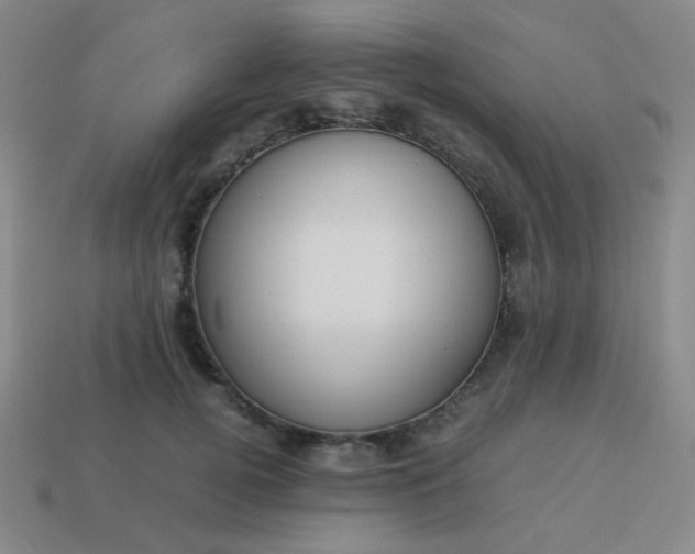 X0000114060752200910191501