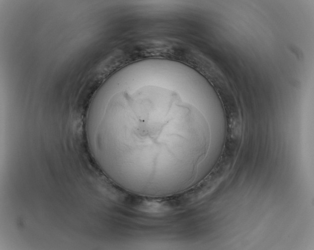 X0000114060753200910191501