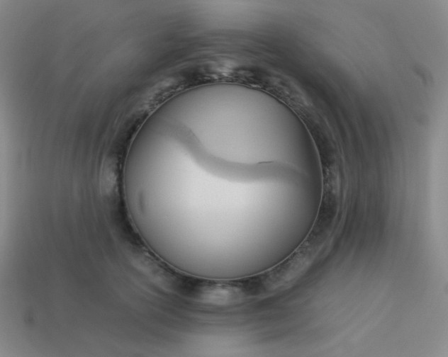 X0000114060754200910191501