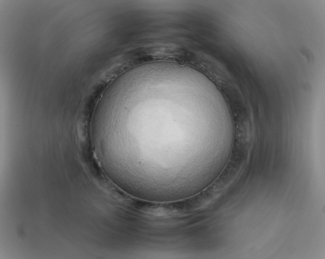 X0000114060755200910191501