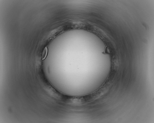 X0000114060756200910191501