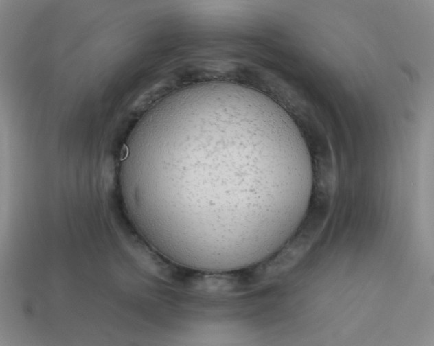 X0000114060758200910191501