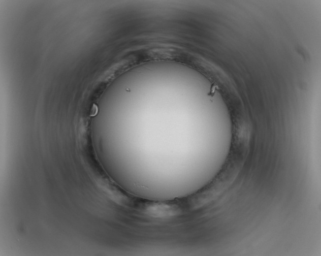 X0000114060759200910191501