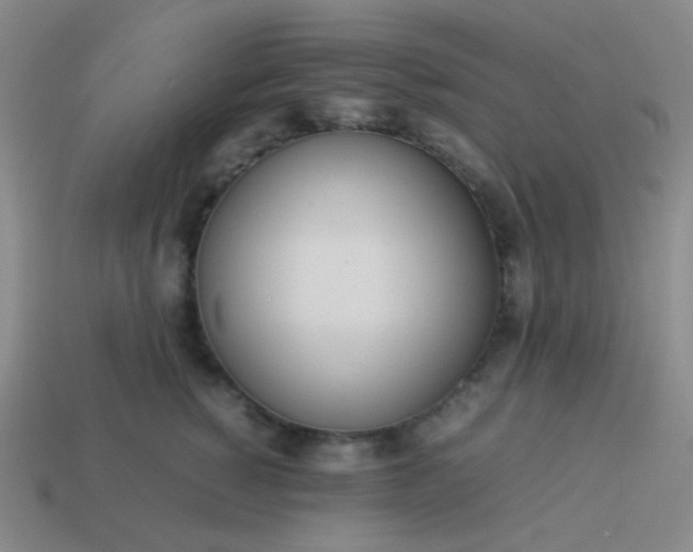 X0000114060760200910191501