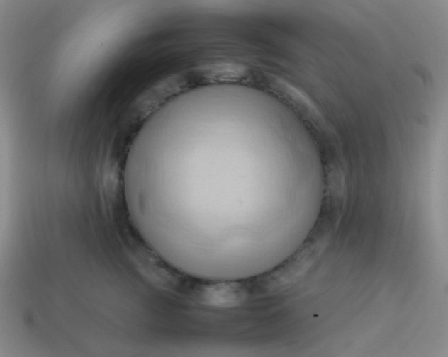 X0000114060761200910191501