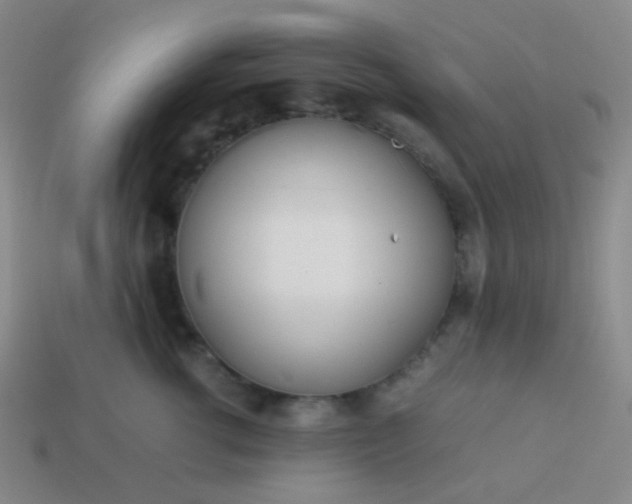 X0000114060762200910191501