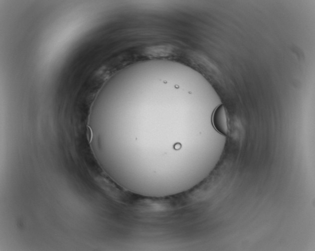 X0000114060763200910191501