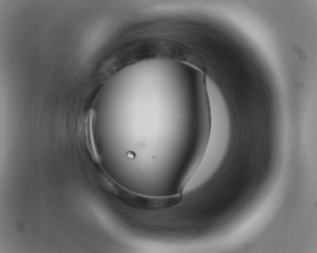 X0000114060766200910191501