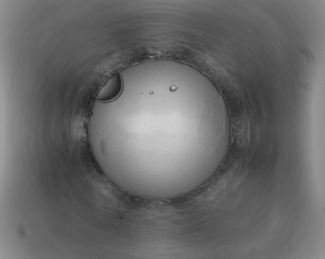 X0000114060770200910191500